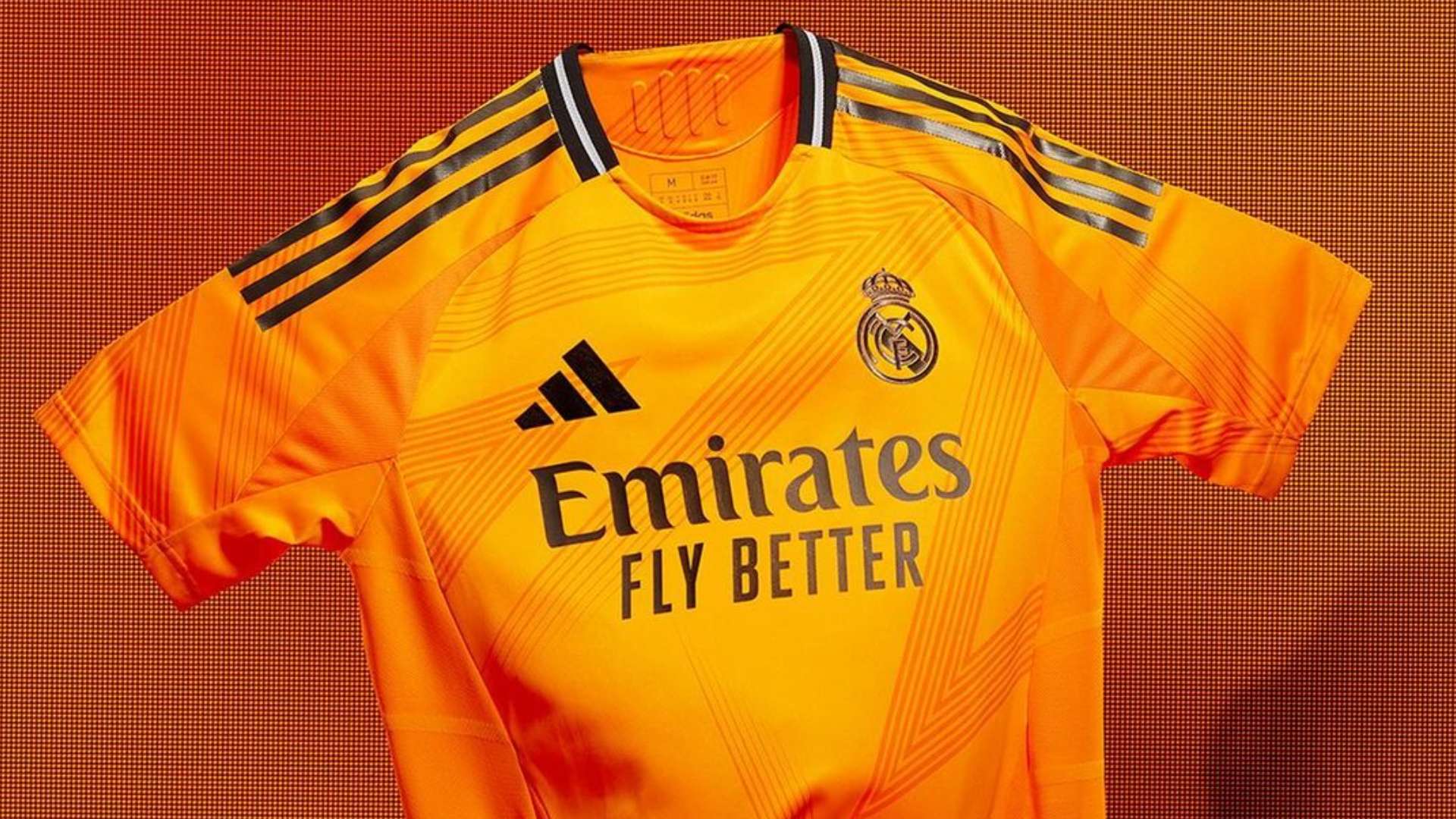 支持可以在 支持可以在