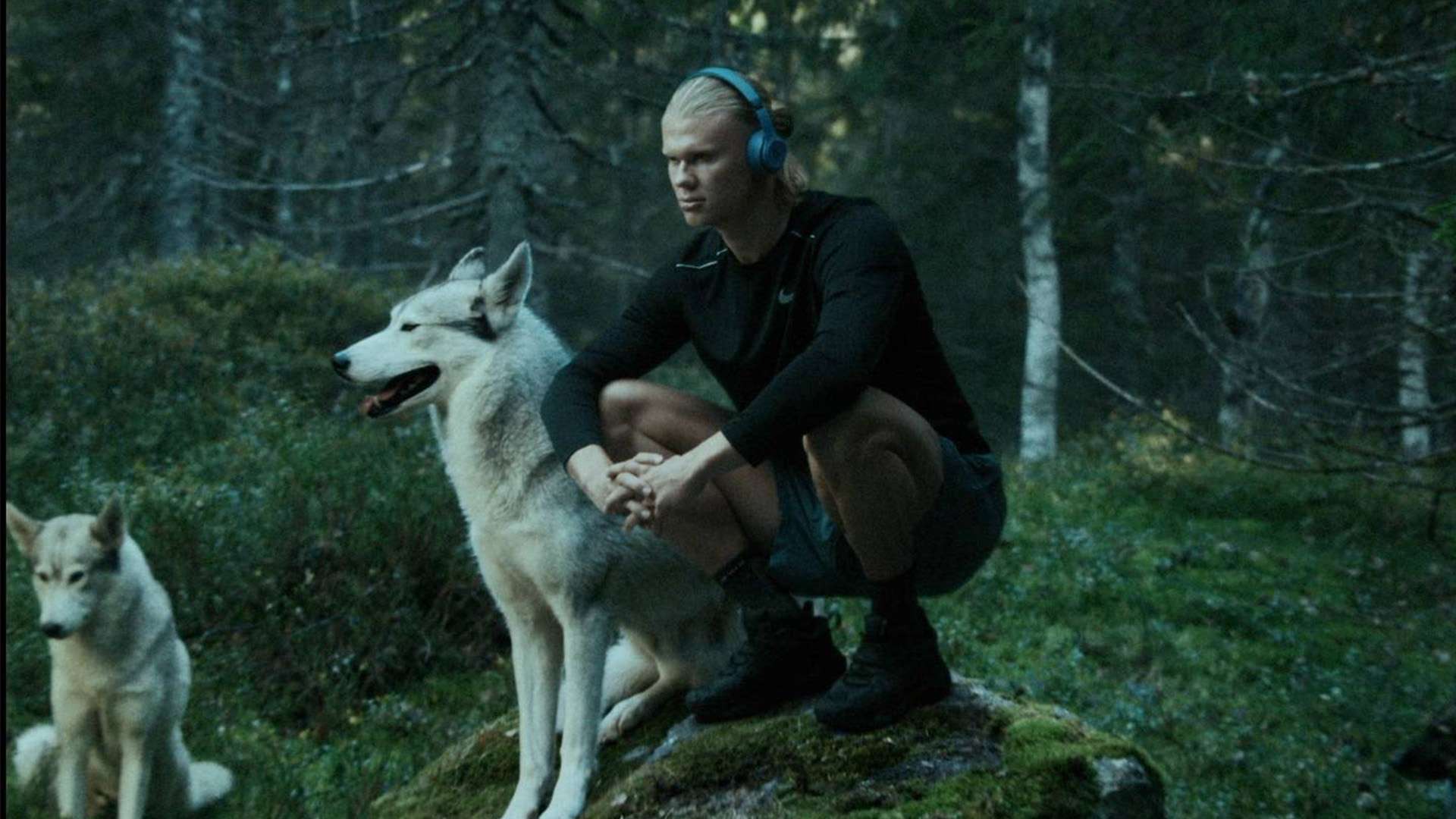 挥出最佳状 挥出最佳状